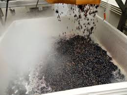 gheata-carbonica-in-industria-vinului